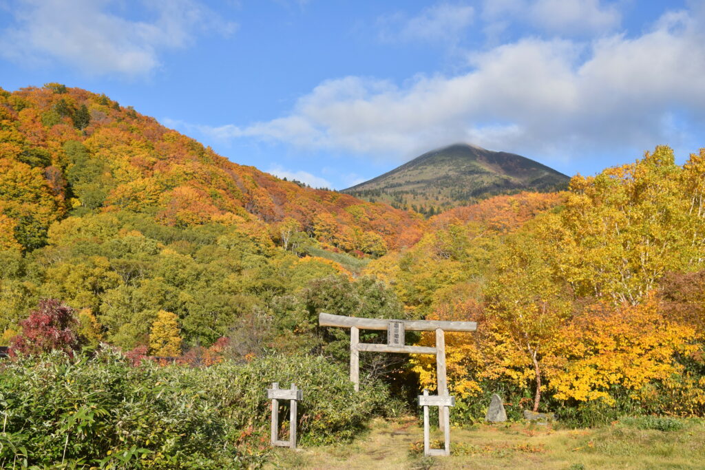 Stunning Japanese Landscape Wallpaper with Torii Gate & Autumn Colors