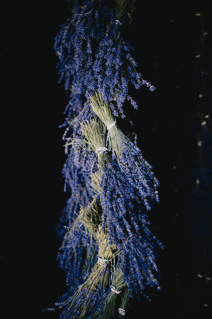 Stunning Lavender Bouquets Wallpaper with Dark Background