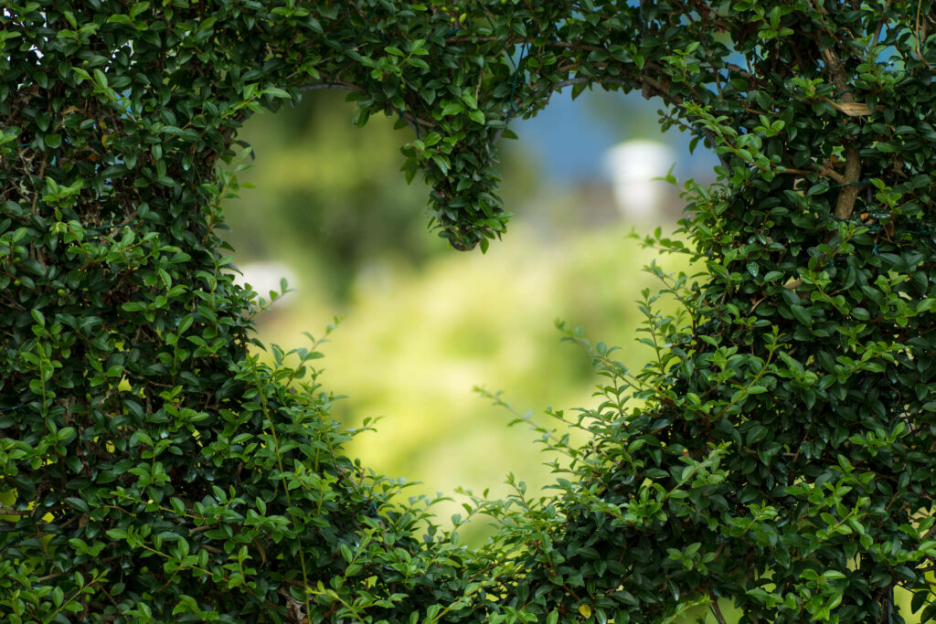 Lush Green Hedge Wallpaper with Heart Cutout & Serene Background