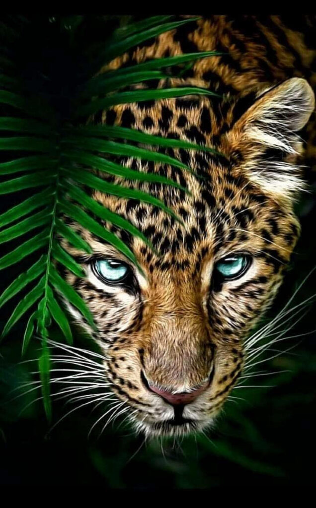 Vivid Leopard Close-Up Wallpaper: Wild Beauty in Green Foliage