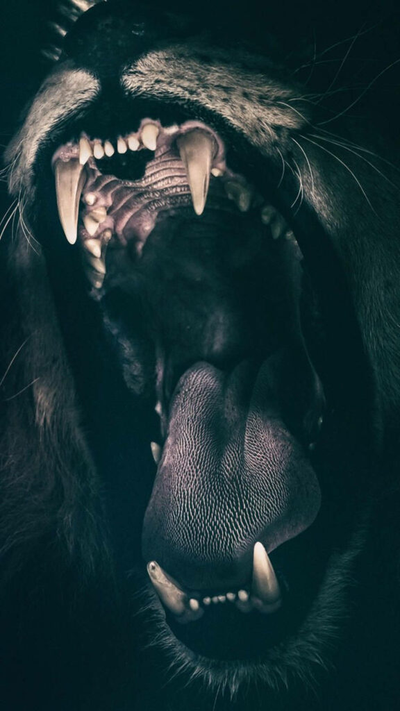 Stunning Lion Close-Up iPhone Wallpaper: Fierce Jaws on Dark Background