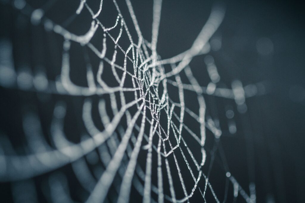 Intricate Cobweb with Dewdrops: Stunning Macro Wallpaper Background