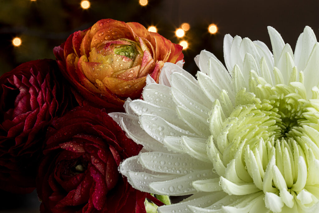 Stunning Macro Flower Wallpaper: Detailed Petals & Raindrops