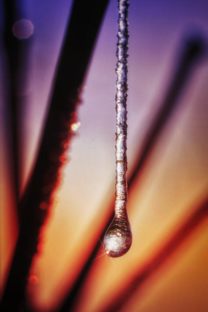 Frozen Icicle Macro: Vibrant Orange to Purple Wallpaper Background