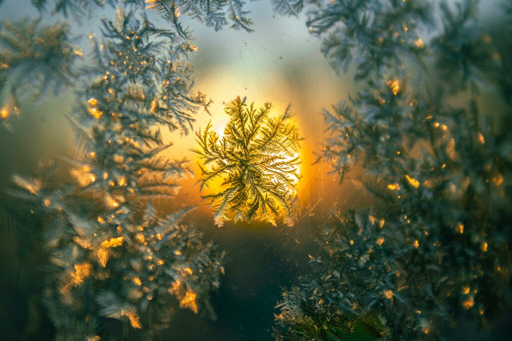 Intricate Snowflake Patterns on Glass | Stunning Macro Wallpaper