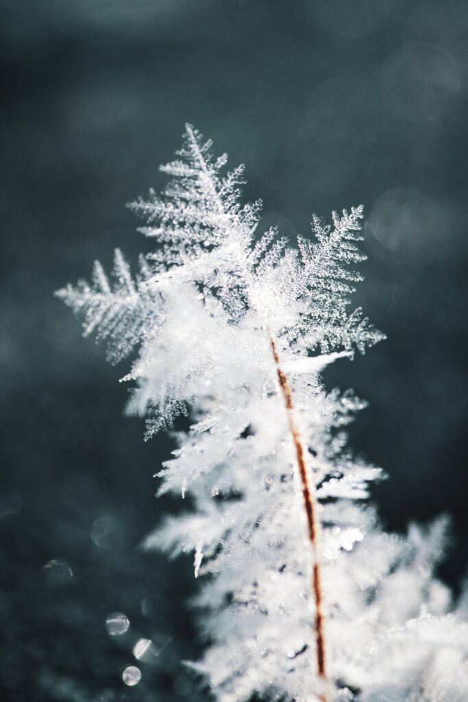Intricate Snowflake Macro Wallpaper - Stunning Ice Crystal Background