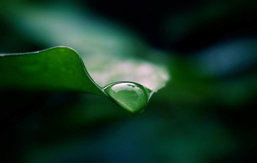 Stunning Macro Wallpaper: Water Drop on Vibrant Green Leaf