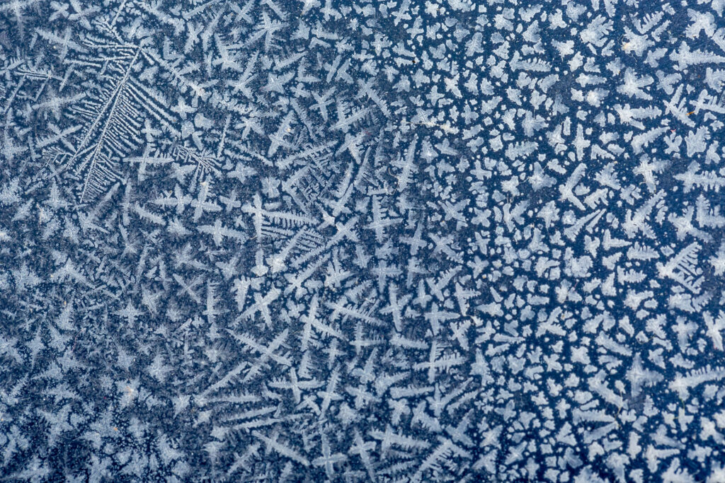 Intricate Frost Patterns - Stunning Macro Wallpaper Background