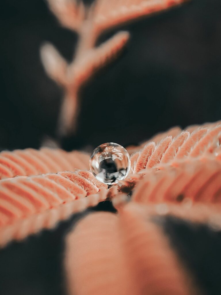 Stunning Macro Water Droplet on Leaf - Captivating Wallpaper Background
