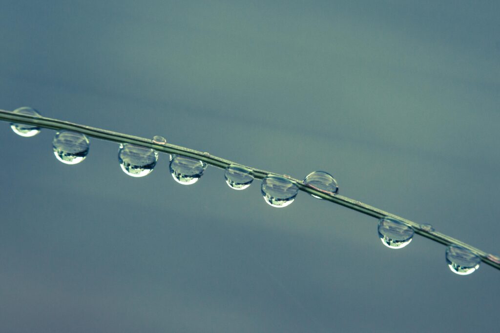 Macro Water Droplets on Grass: Serene Nature Wallpaper Background