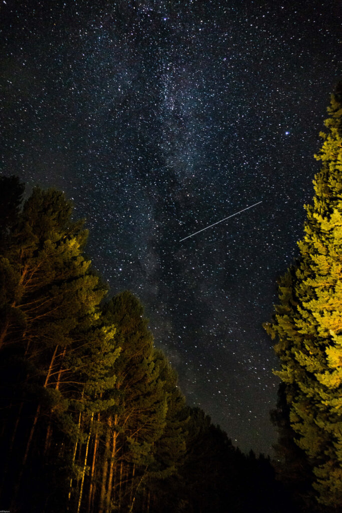 Stunning Meteor Shower Wallpaper: Starry Sky & Glowing Trees
