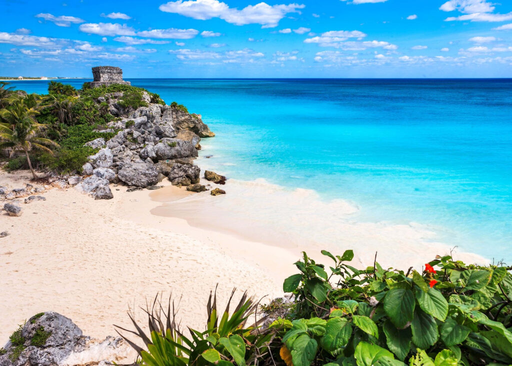 Serene Mexican Beach Wallpaper: Turquoise Waters & Vibrant Flora