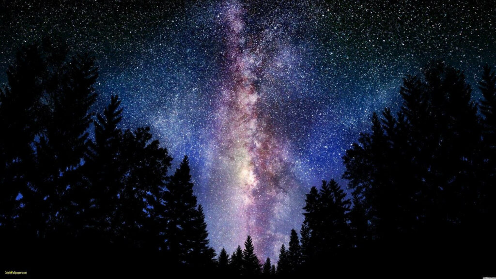 Stunning Milky Way Wallpaper Over Dark Forest - Night Sky Background