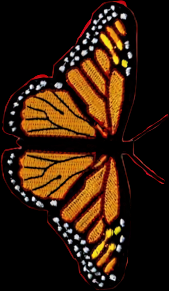 Vibrant Monarch Butterfly Wallpaper: Stunning Orange & Black Design