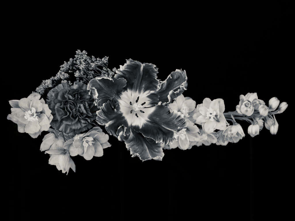Elegant Monochromatic Floral Wallpaper on Black Background