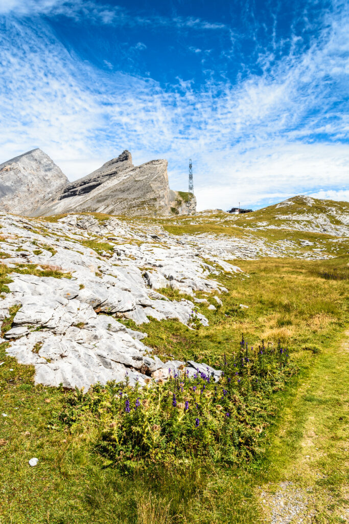 Mountain landscape with white rugged rocks green grass and vivid blue sky with wispy clouds Wallpaper
