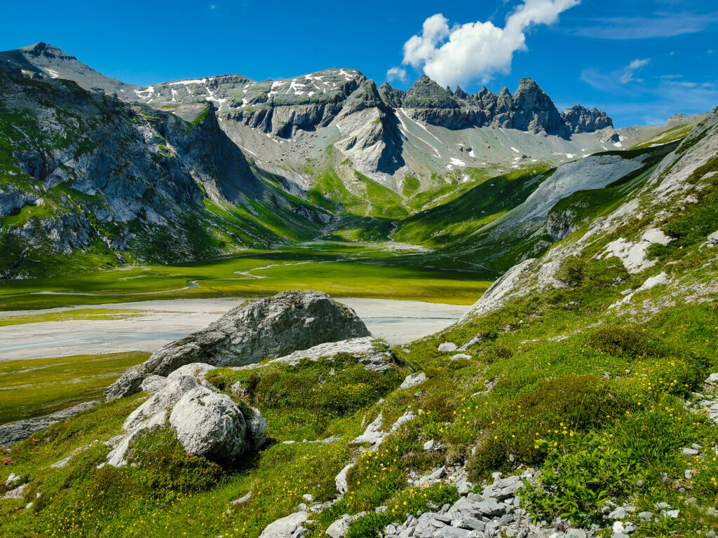 Stunning mountain valley wallpaper with rugged rocks lush green grass wildflowers and blue sky
