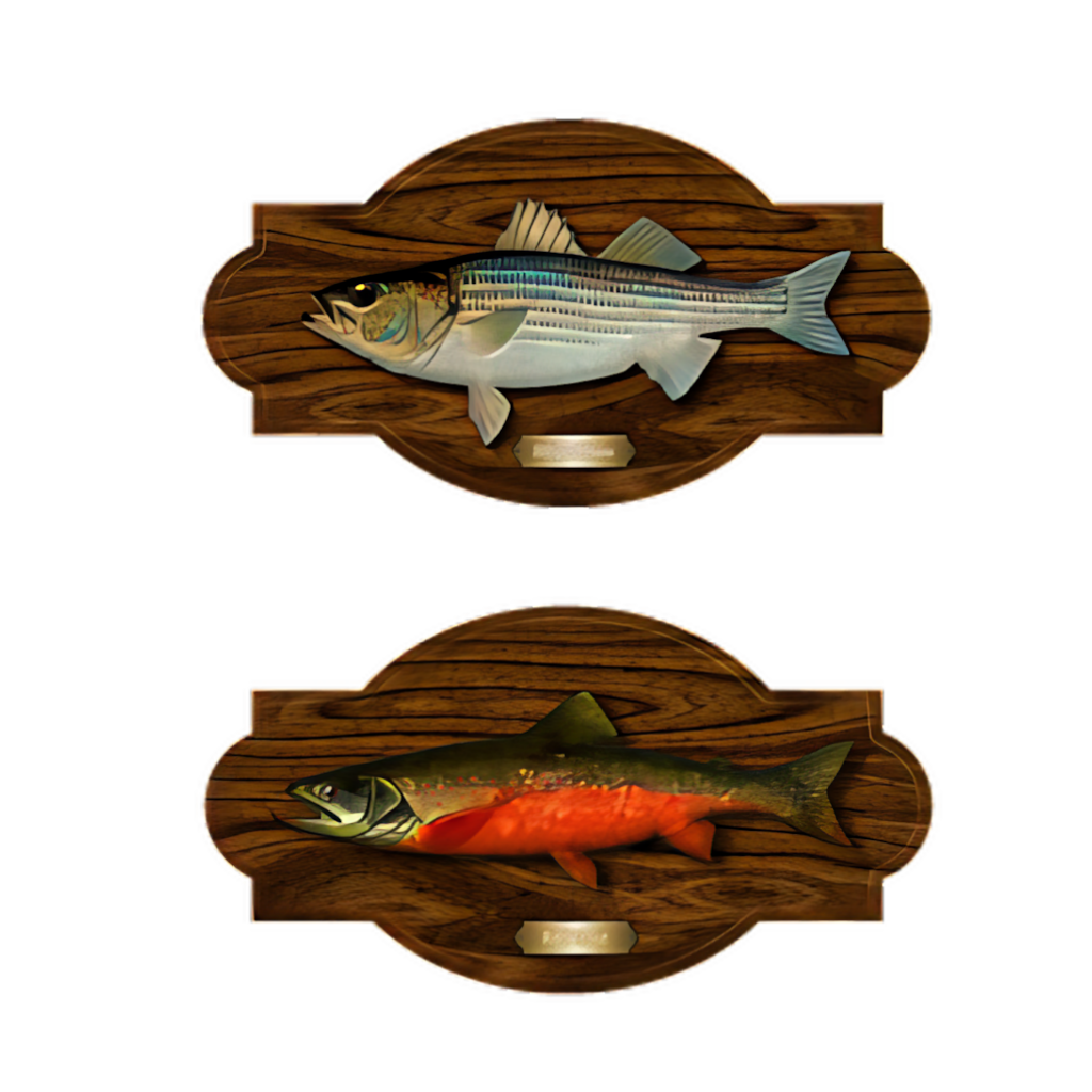 Decorative Mounted Fish Trophies Wallpaper with Wooden Plaque