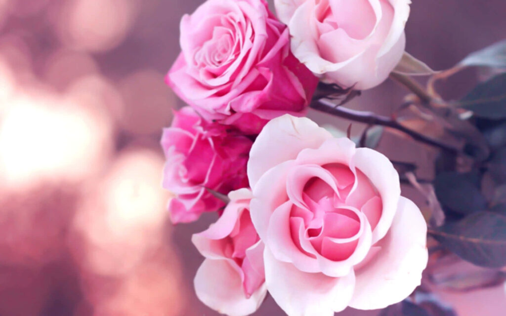 Delicate Pink Roses Wallpaper: Serene Nature Background Art