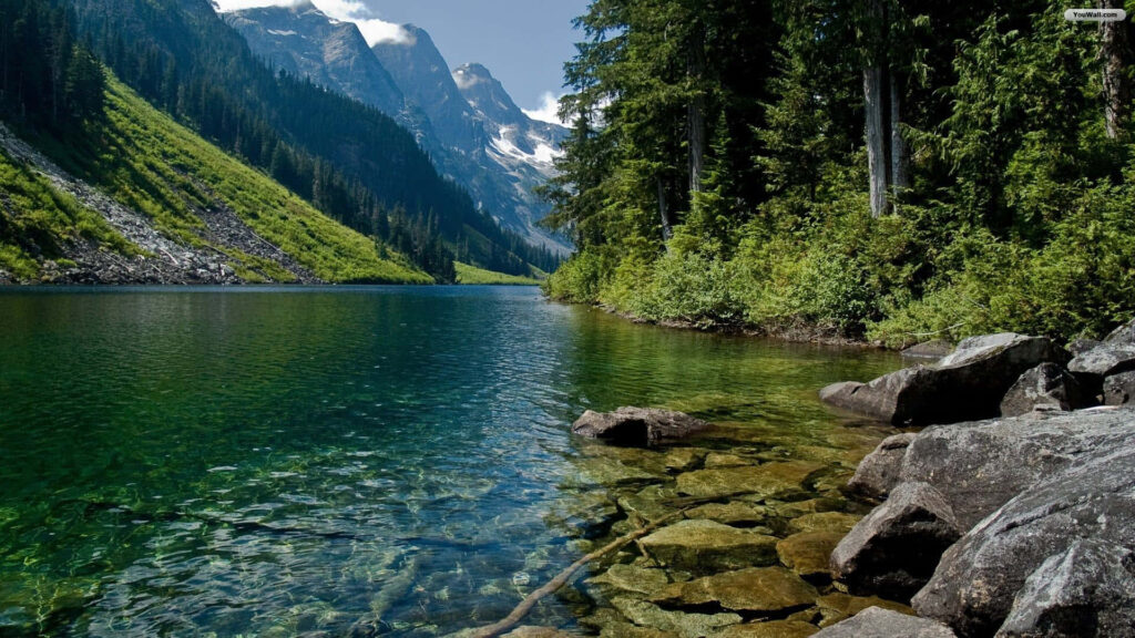 Serene Alpine River Wallpaper: Nature's Tranquil Beauty Background