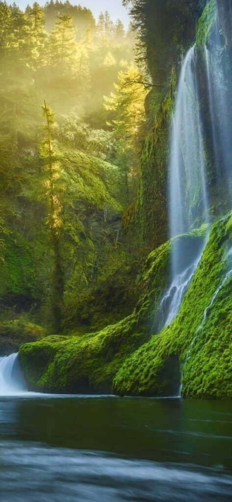 Stunning Samsung Galaxy Note 10 Plus Waterfall Wallpaper Background