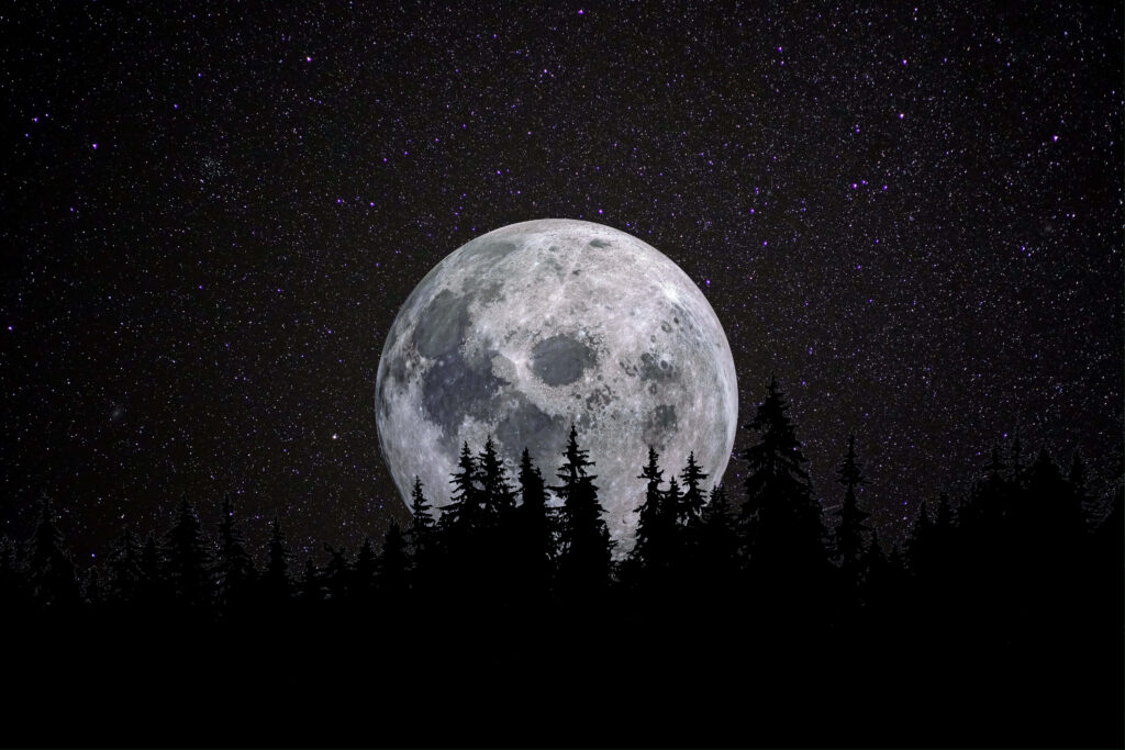 Serene Night Sky Wallpaper: Luminous Moon & Starry Trees Background