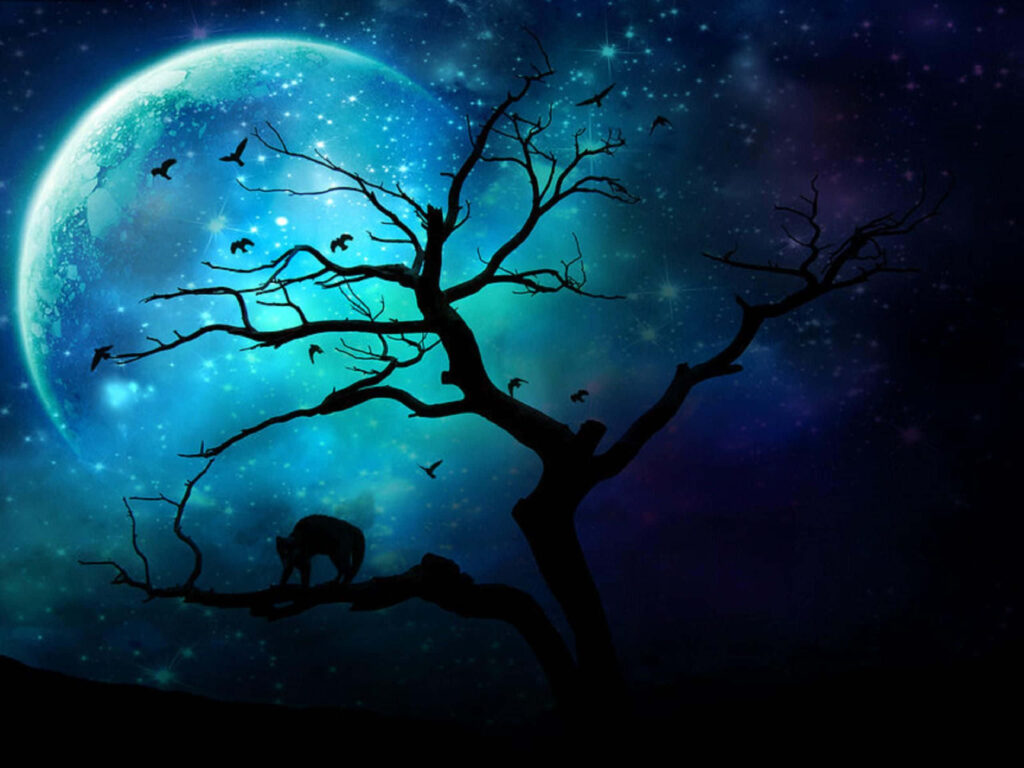 Serene Night Sky Wallpaper: Moon, Stars & Silhouetted Trees