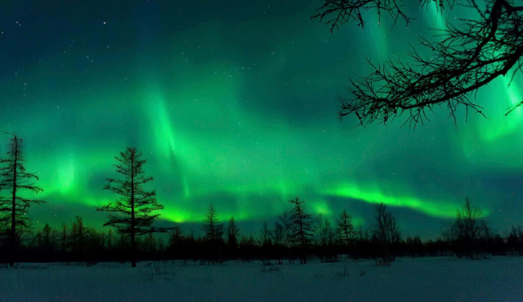 Vibrant Northern Lights Wallpaper: Enchanting Green Glow Over Snowy Landscape