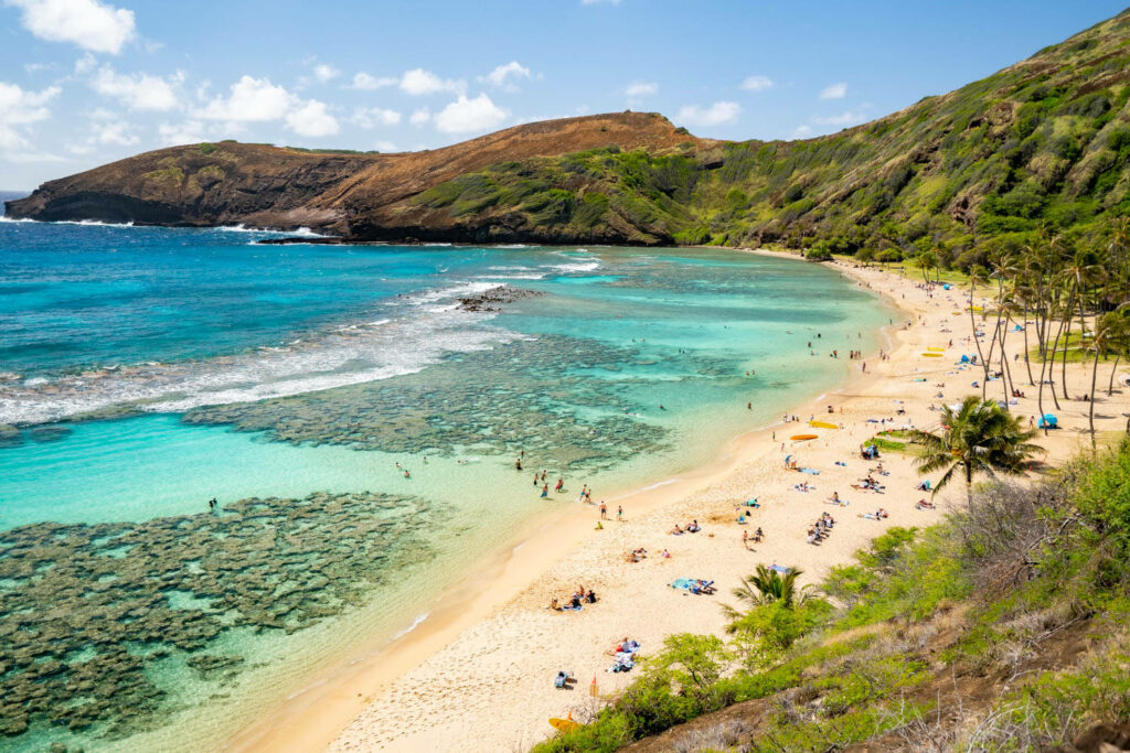 Stunning Oahu Beach Wallpaper: Turquoise Waters & Golden Sands
