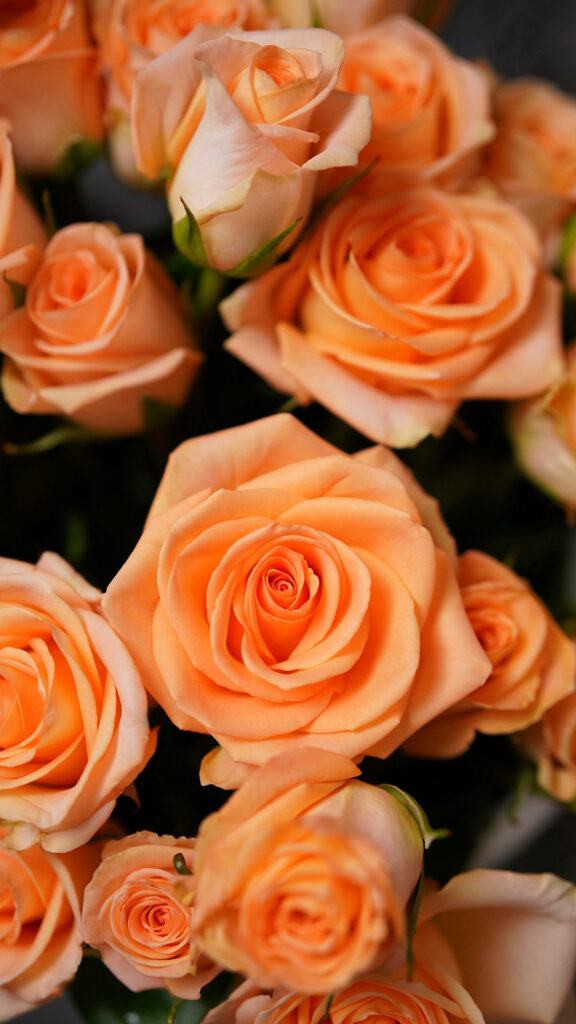 Warm Orange Rose Bouquet Wallpaper - Soft Pastel Background