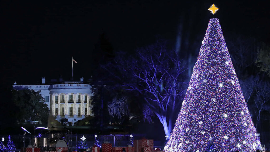 Magical Outdoor Christmas Scene with Illuminated Tree & Historic Building Wallpaper