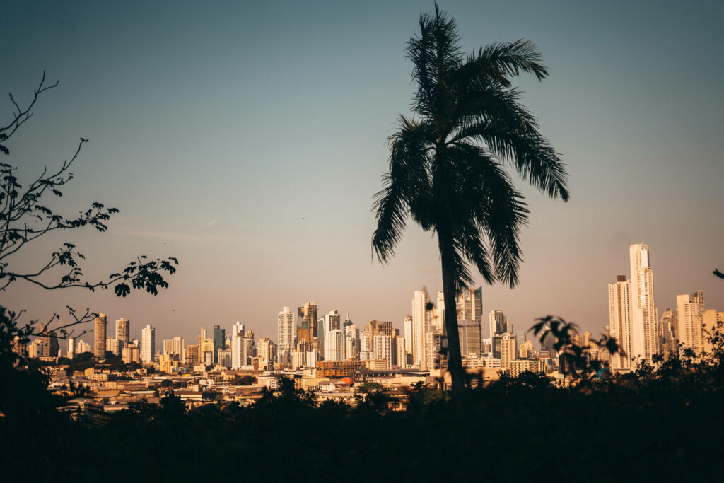 Panama City Skyline Wallpaper: Lush Greenery & Clear Sky View