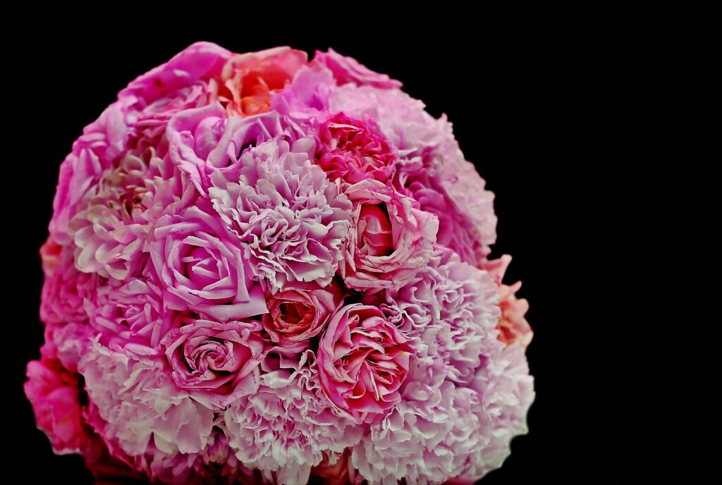 Vibrant Pink Carnations and Roses on Black Wallpaper Background