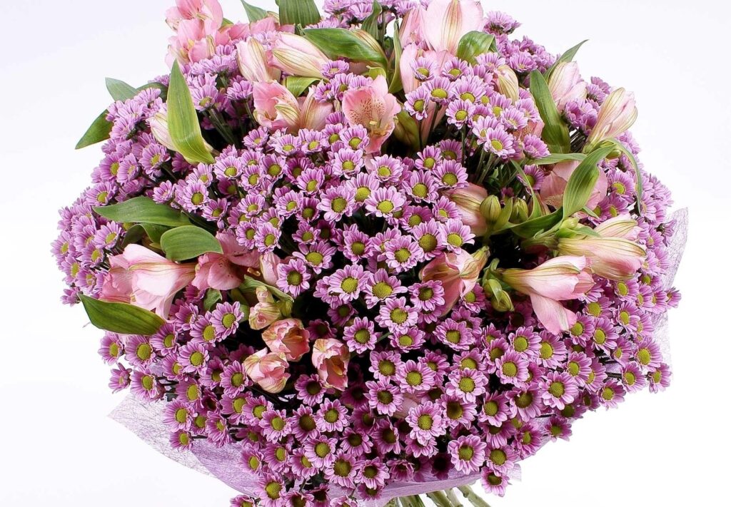 Vibrant Pink Chrysanthemums & Alstroemeria Floral Wallpaper Background