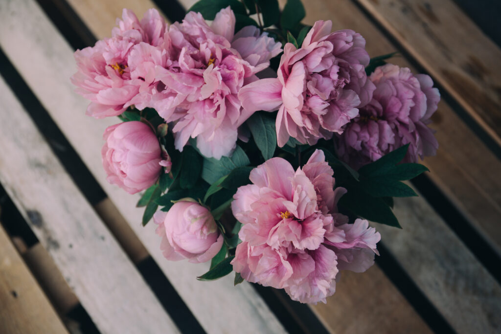 Stunning Pink Peonies Bouquet on Rustic Wooden Background Wallpaper