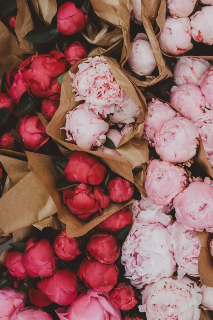 Vibrant Pink & Red Peonies Wrapped in Brown Paper - Floral Background Wallpaper