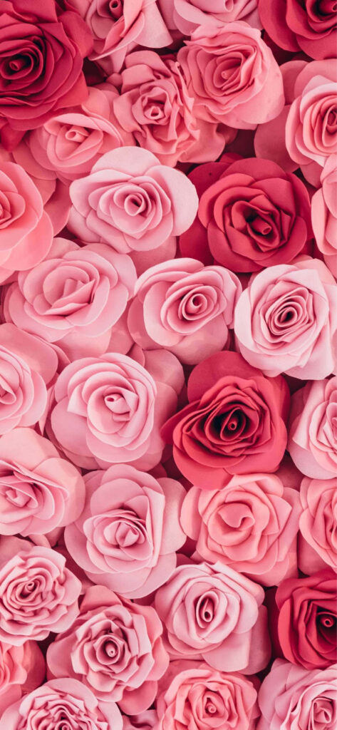 Elegant Pink & Red Rose Floral Wallpaper for Phone Background