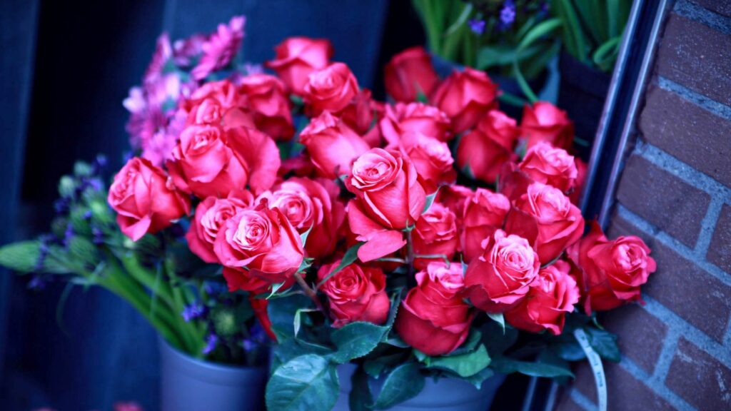 Vibrant Pink Roses Bouquet Wallpaper - Delicate Floral Beauty