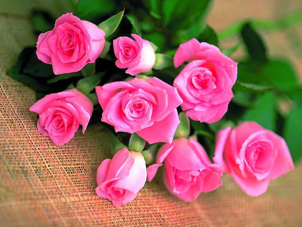 Vibrant Pink Rose Bouquet Wallpaper on Textured Background