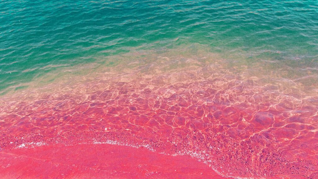 Stunning Pink Sand Beach Sunset Wallpaper - Tropical Paradise Background