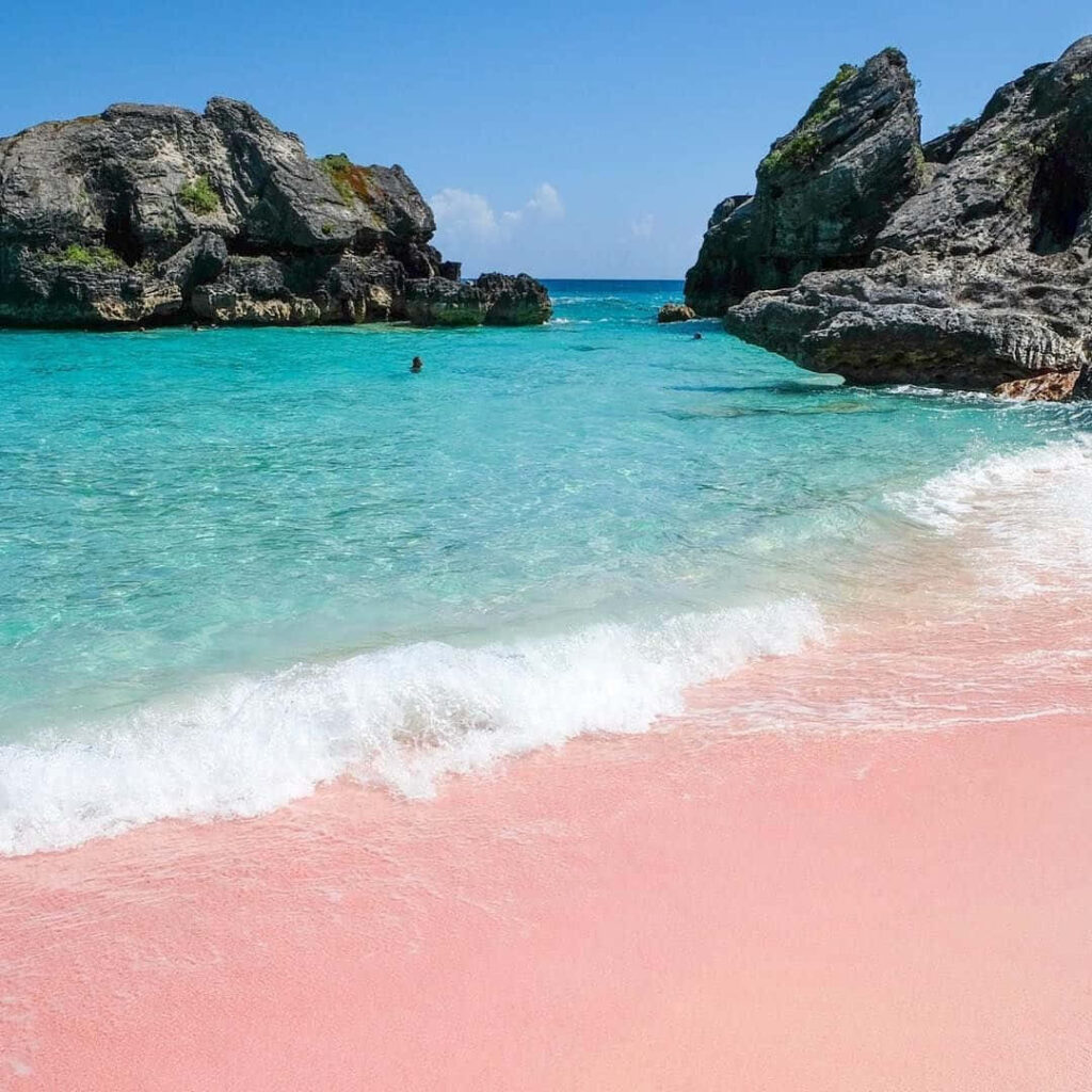 Discover Tranquil Pink Sand Beach with Turquoise Waters & Blue Sky Wallpaper