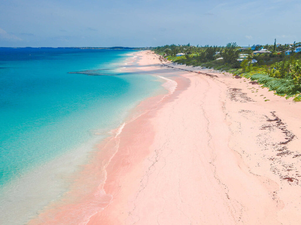 Stunning Pink Sand Beach with Turquoise Waters and Lush Greenery Wallpaper