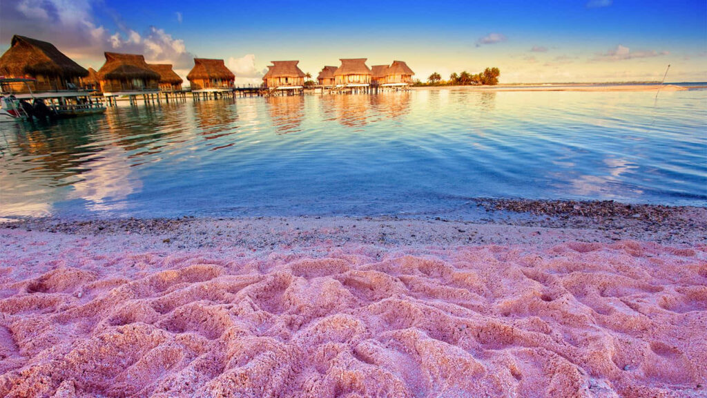 Stunning Pink Sand Beach Wallpaper with Thatched Huts & Clear Waters
