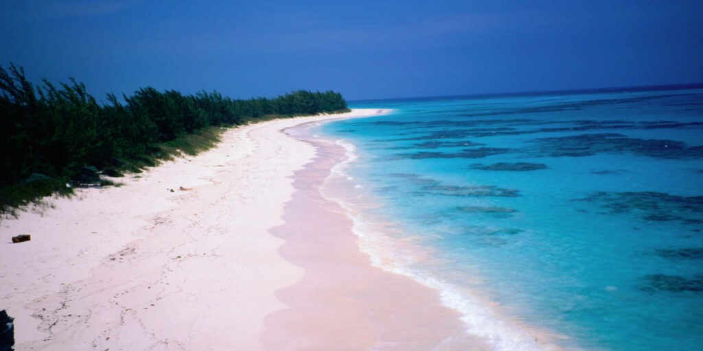 Tropical Pink Sand Beach Wallpaper with Turquoise Waters & Greenery