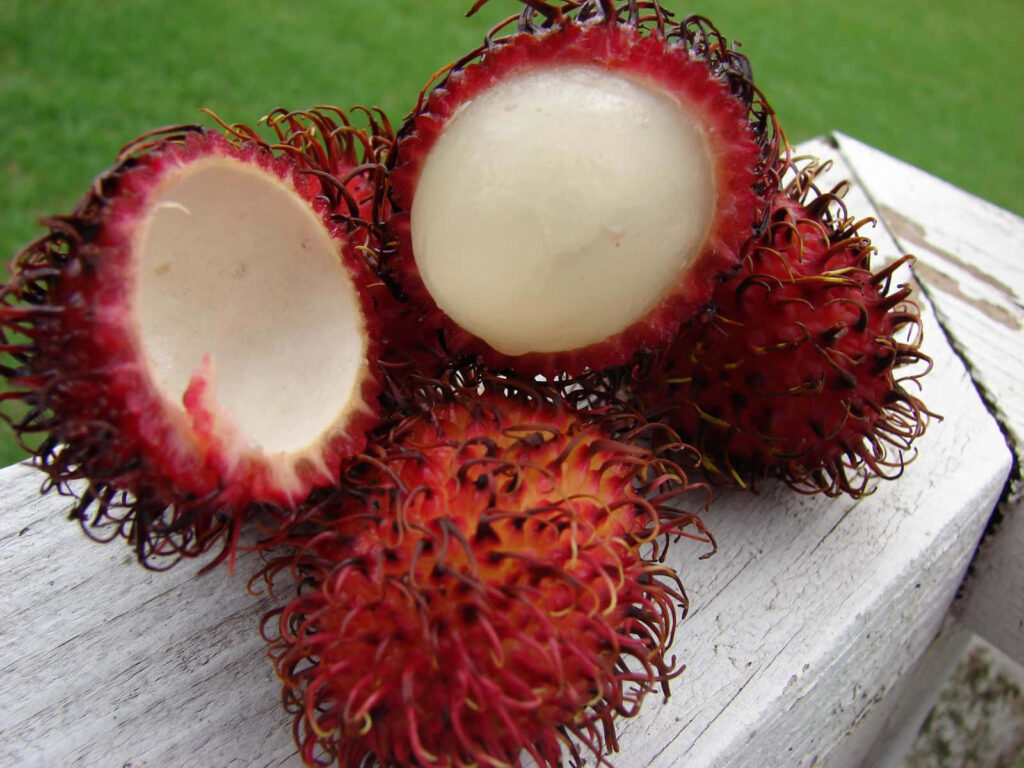 Vibrant Close-Up of Ripe Pulasan Fruit: Spiky Red Rind Wallpaper