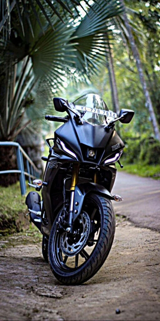 Pulsar 150 Wallpaper: Scenic Roadside with Lush Greenery