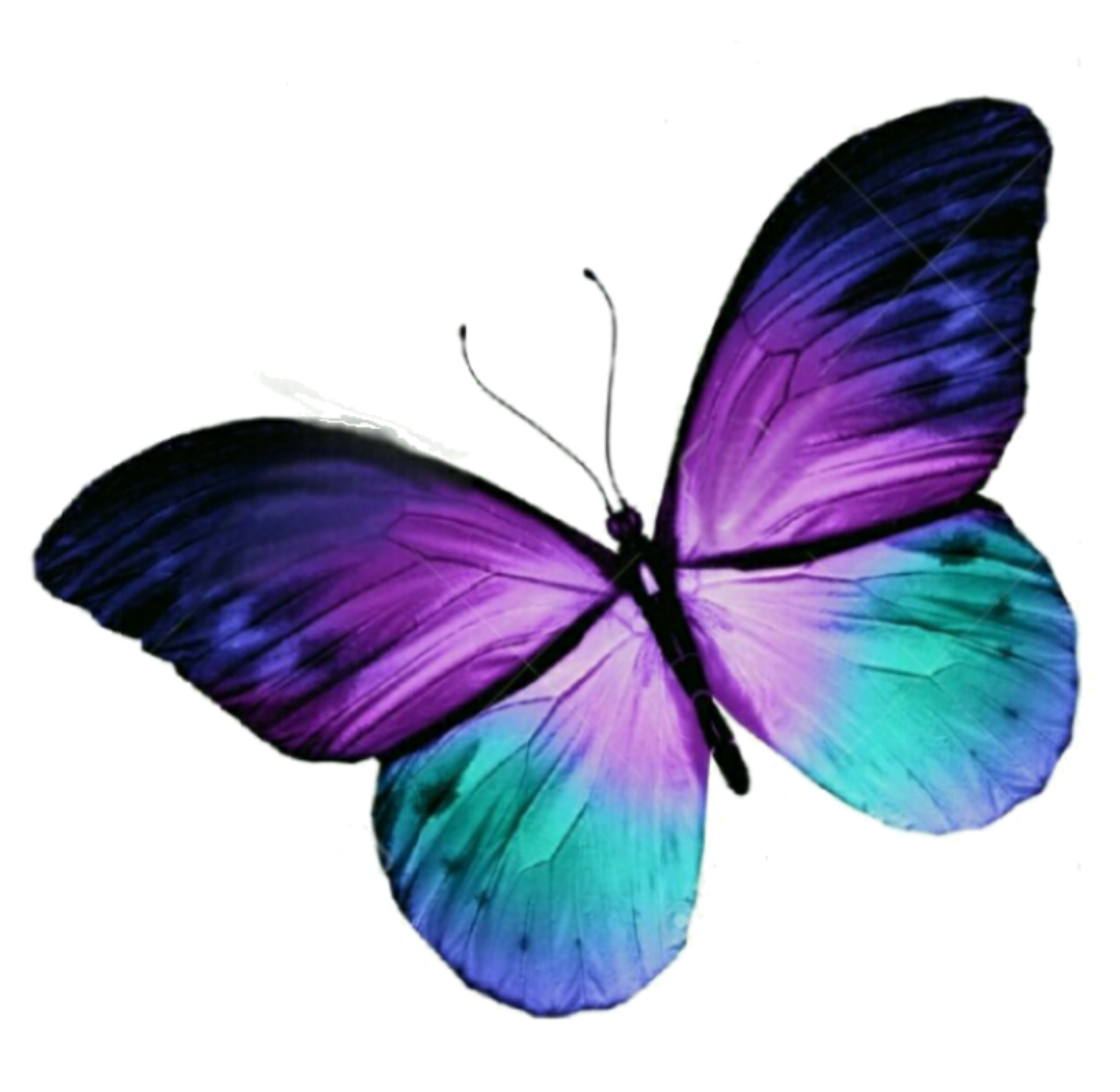 Elegant Purple Butterfly Wallpaper: Vibrant Gradient Design