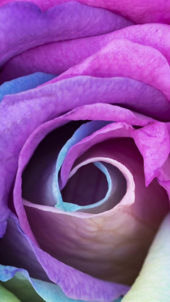 Stunning Rainbow Flower Wallpaper: Vibrant Spiral Background for iPhone