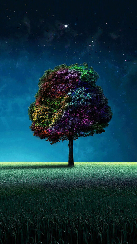Stunning Rainbow Tree Wallpaper for Samsung Galaxy S4 - Night Sky