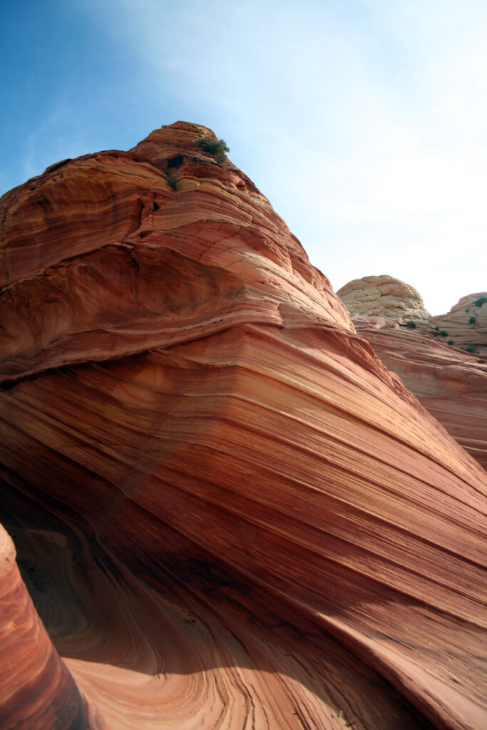 Stunning canyon wallpaper with swirling sandstone formations in red and orange hues under blue sky